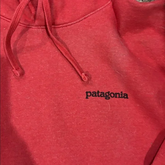 Patagonia Hoodie - Picture 3 of 5